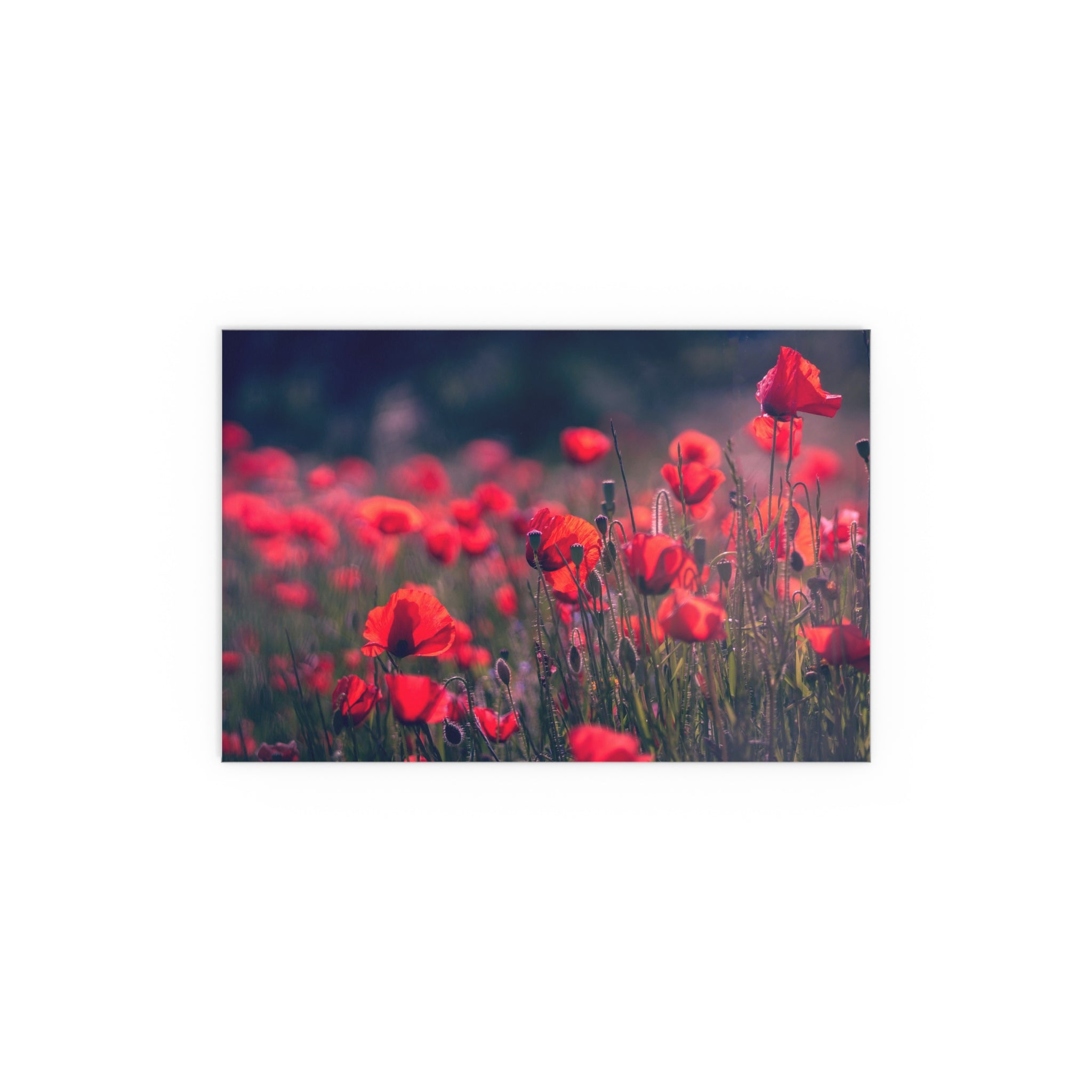 Red Poppy Field Silk Poster | Indoor Outdoor Wall Art