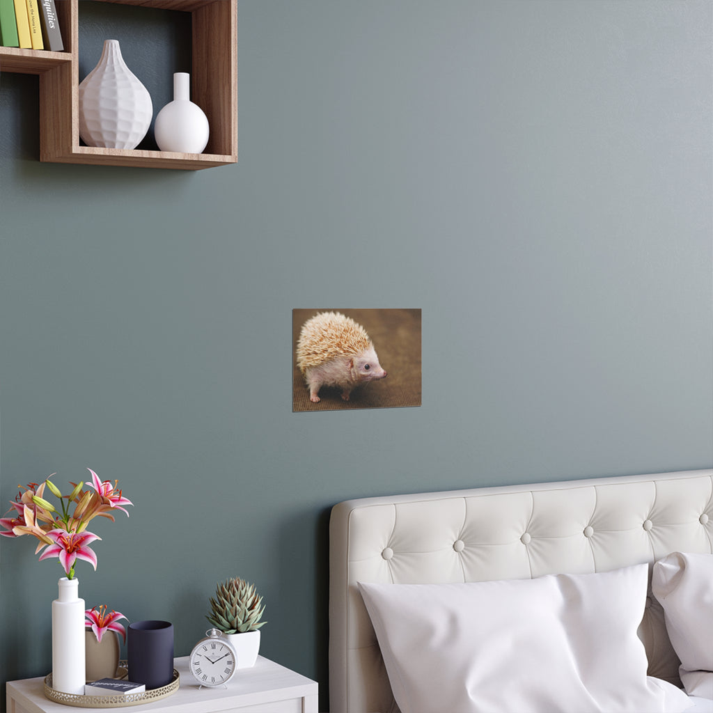 Albino Hedgehog Poster | Silk Poster