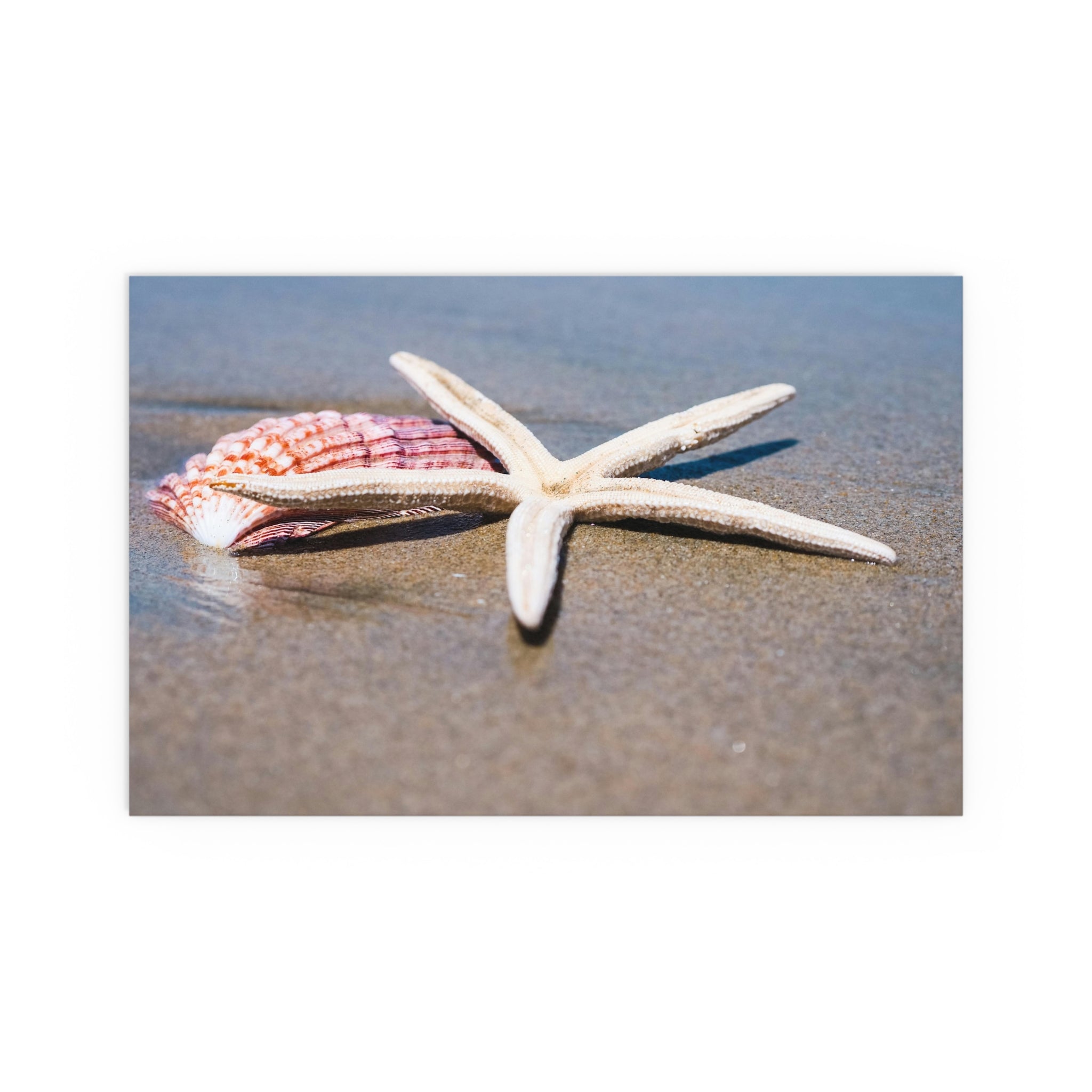 Starfish and Seashell Beach Photo Silk Poster