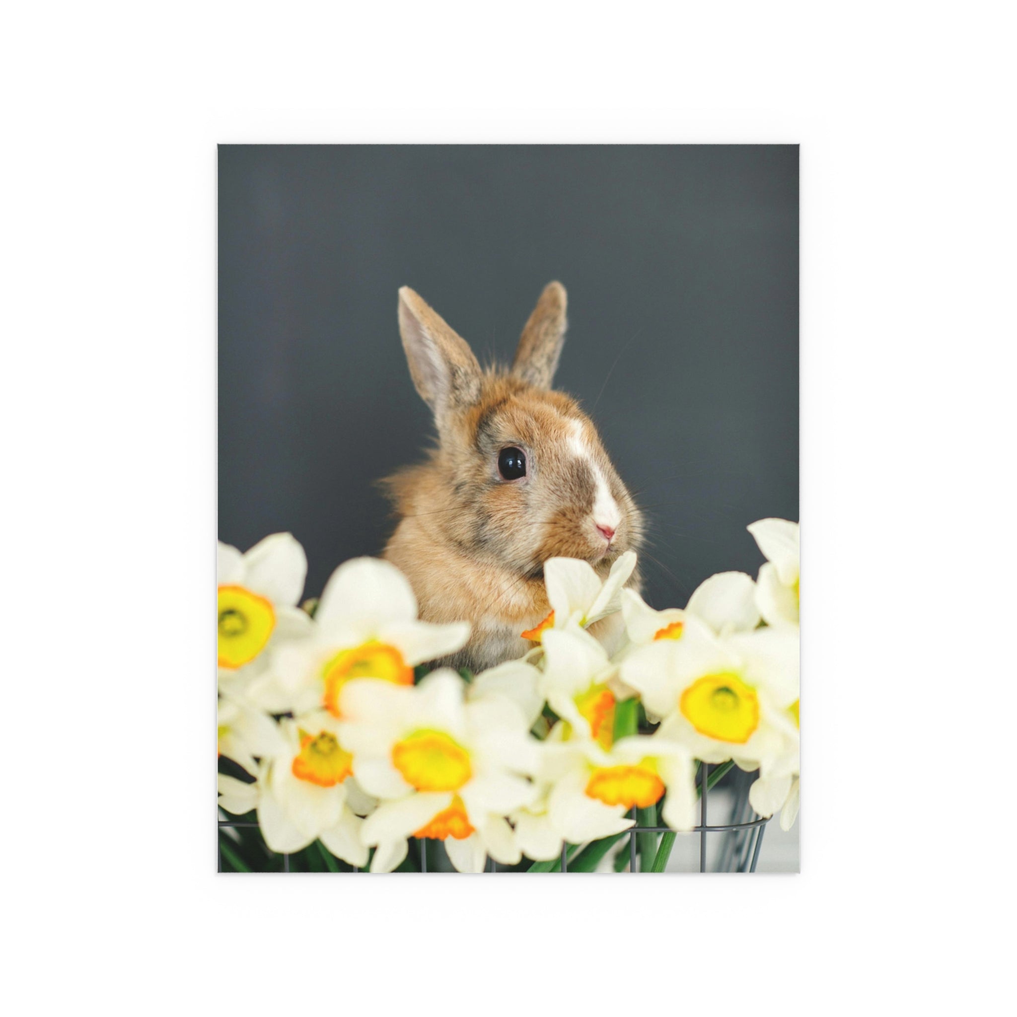 Easter Bunny in Daffodils Silk Poster