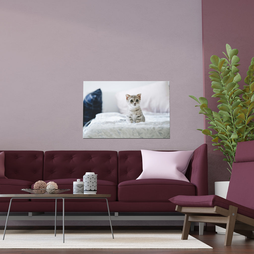 Cute Kitten on Bed Silk Poster | Indoor Outdoor Wall Art