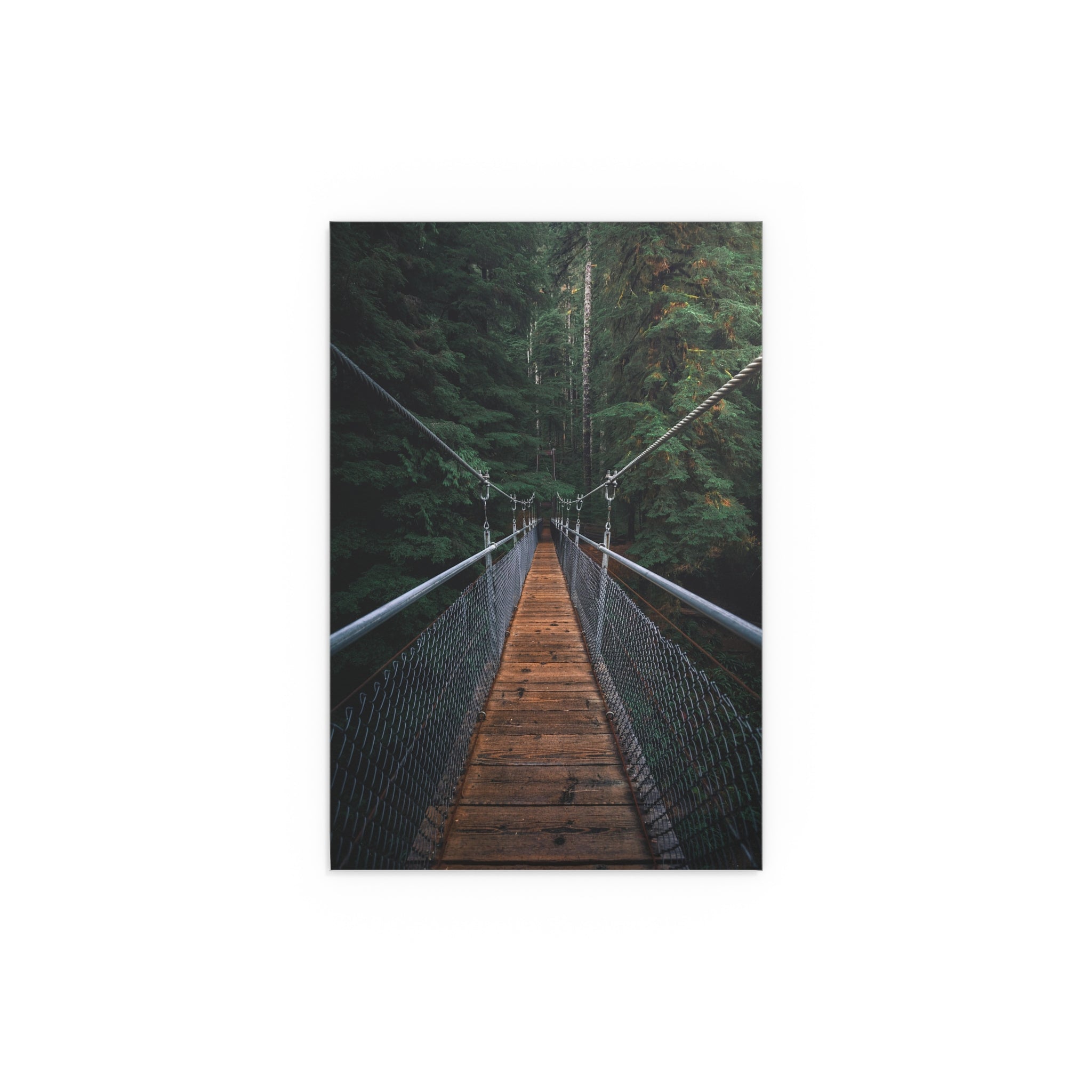 Suspension Bridge Forest Walk poster | Silk Poster