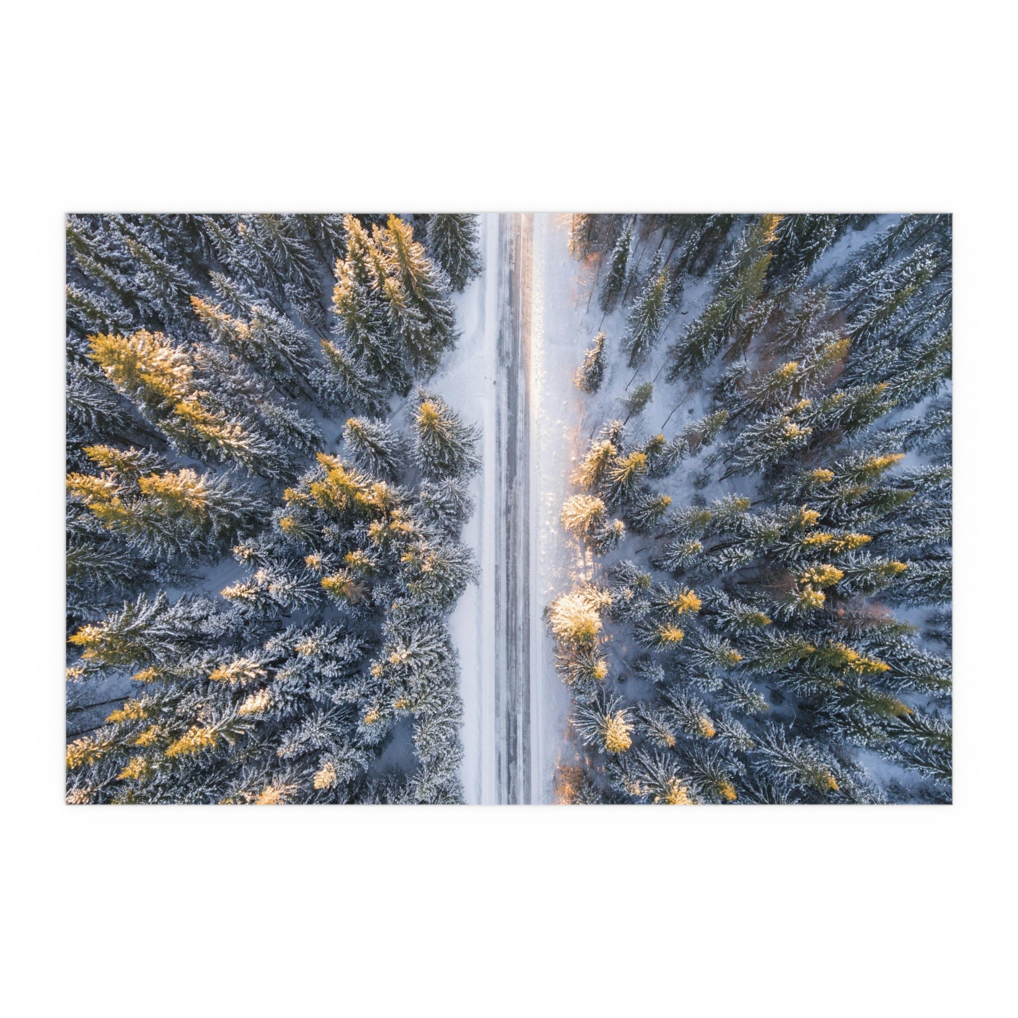 Aerial Snowy Forest Road Poster | Silk Poster
