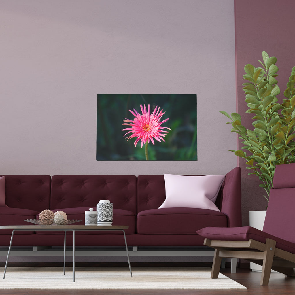 Pink Daisy Bloom Silk Poster | Floral Wall Art, Indoor Outdoor